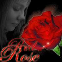 Red Rose