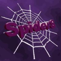 Spiders