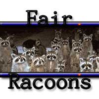 Fair Racoons